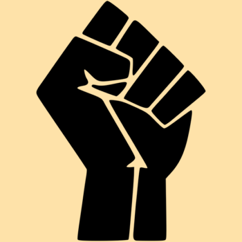 Solidarity Fist