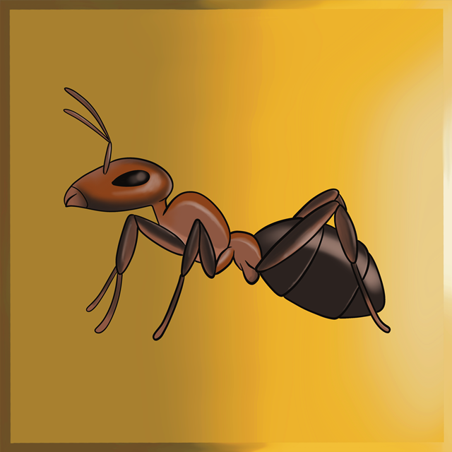 A close-up illustration of an ant, showing its segmented body with a reddish-brown head, thorax, and black abdomen.