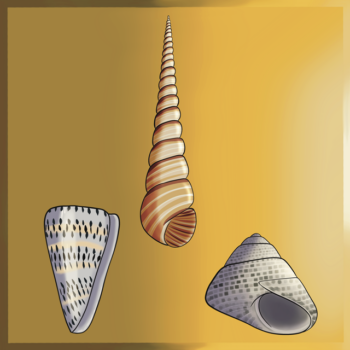 Conical Shell