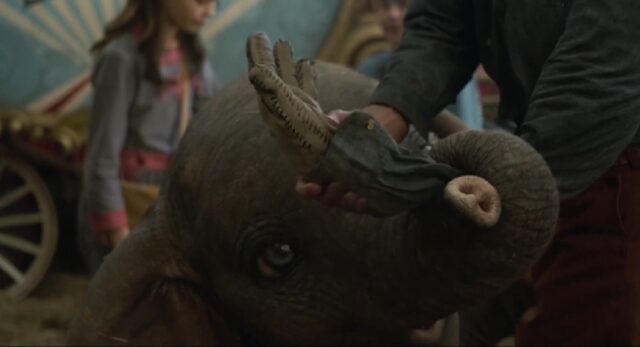 A close-up image of Dumbo, showing only his right eye as he grabs Holt Farrier’s prosthetic hand with his trunk.