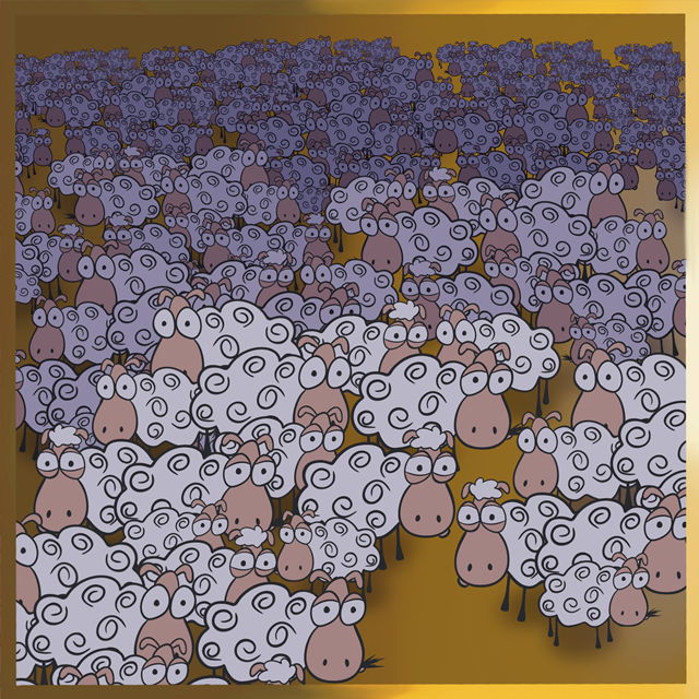 A large group of sheep, with big eyes and curly wool, filling the frame.