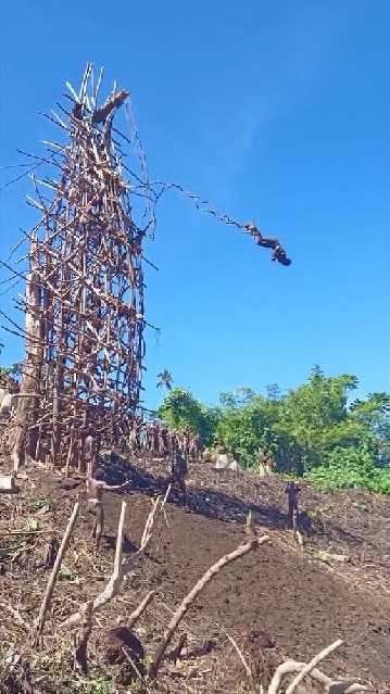 A man performs a traditional land diving ritual in Vanuatu, jumping from a tall wooden tower with vines tied around his ankles. The tower, constructed from wooden branches, stands on a hill with lush greenery in the background.