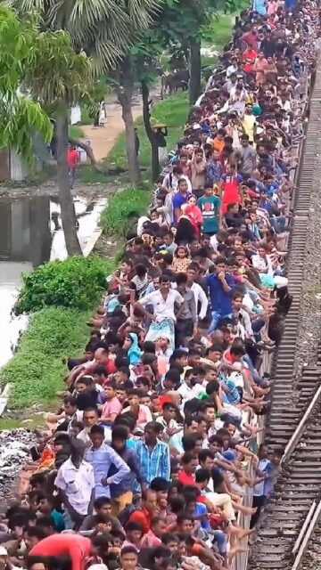 A crowded train with people riding on the roof and hanging onto the sides, reflecting severe overcrowding. The scene is set in a lush, green area with palm trees and a canal nearby. The train is packed with passengers, showcasing the extreme measures some commuters take to travel.