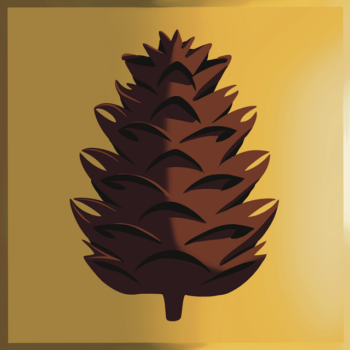 Pine Cone